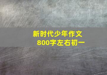 新时代少年作文800字左右初一