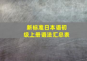 新标准日本语初级上册语法汇总表