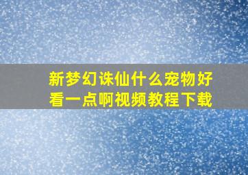 新梦幻诛仙什么宠物好看一点啊视频教程下载