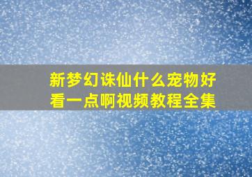 新梦幻诛仙什么宠物好看一点啊视频教程全集