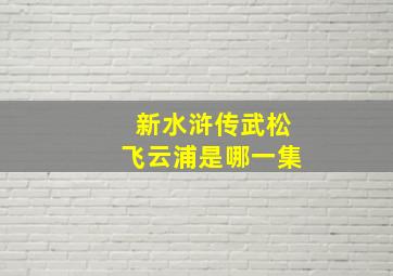 新水浒传武松飞云浦是哪一集