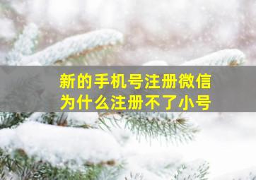 新的手机号注册微信为什么注册不了小号