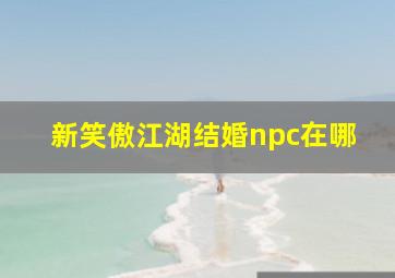 新笑傲江湖结婚npc在哪