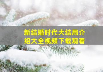 新结婚时代大结局介绍大全视频下载观看