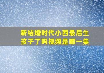 新结婚时代小西最后生孩子了吗视频是哪一集