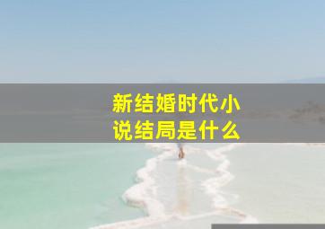 新结婚时代小说结局是什么