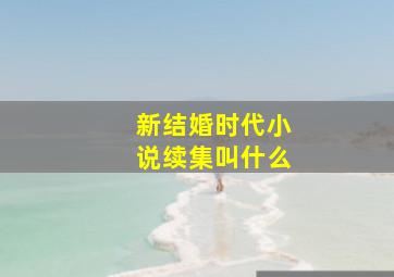 新结婚时代小说续集叫什么