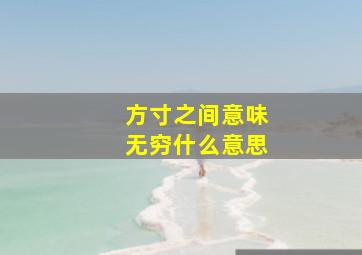 方寸之间意味无穷什么意思