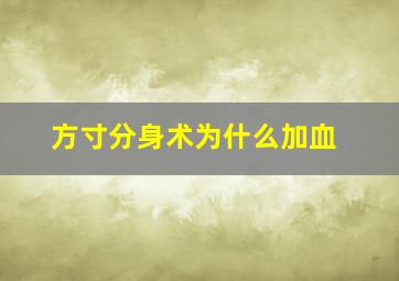 方寸分身术为什么加血