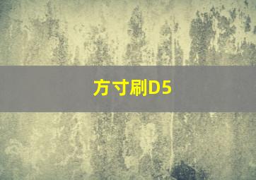 方寸刷D5