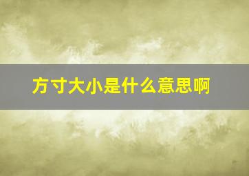 方寸大小是什么意思啊