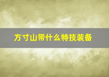 方寸山带什么特技装备