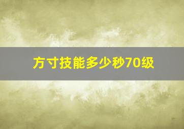 方寸技能多少秒70级