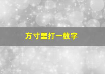 方寸里打一数字