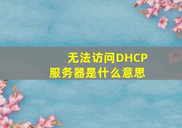 无法访问DHCP服务器是什么意思