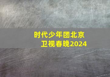 时代少年团北京卫视春晚2024