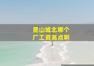 昆山城北哪个厂工资高点啊