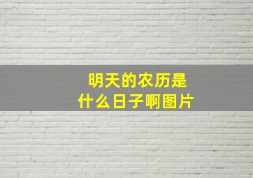 明天的农历是什么日子啊图片