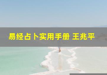 易经占卜实用手册 王兆平