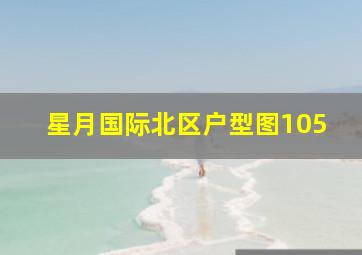 星月国际北区户型图105