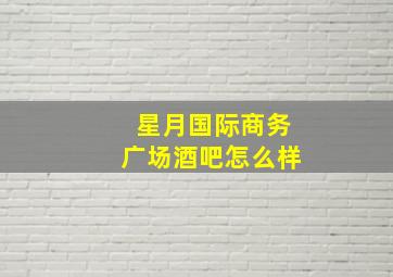 星月国际商务广场酒吧怎么样