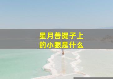 星月菩提子上的小眼是什么