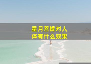 星月菩提对人体有什么效果