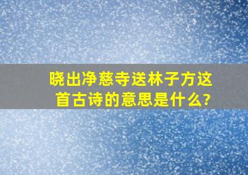 晓出净慈寺送林子方这首古诗的意思是什么?