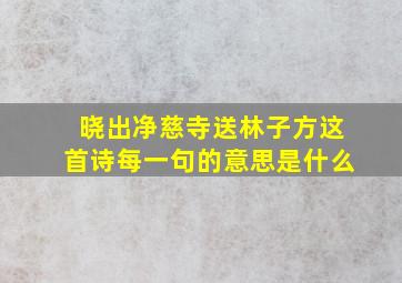 晓出净慈寺送林子方这首诗每一句的意思是什么