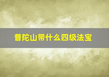 普陀山带什么四级法宝