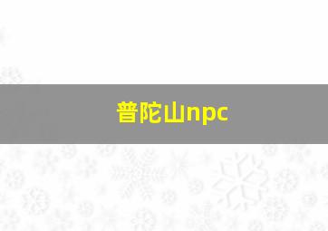 普陀山npc