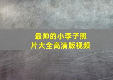 最帅的小李子照片大全高清版视频