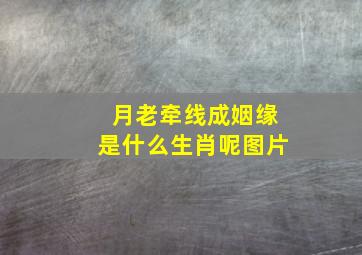 月老牵线成姻缘是什么生肖呢图片