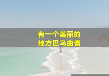 有一个美丽的地方巴乌曲谱