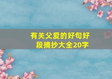 有关父爱的好句好段摘抄大全20字