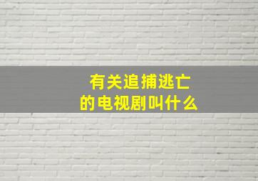 有关追捕逃亡的电视剧叫什么