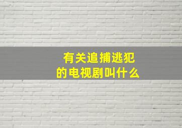 有关追捕逃犯的电视剧叫什么