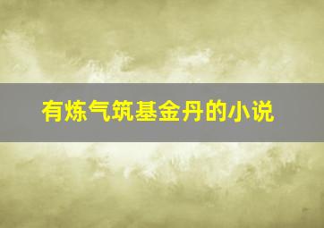 有炼气筑基金丹的小说