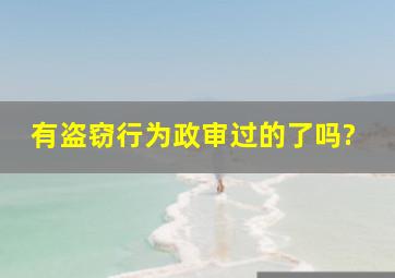 有盗窃行为政审过的了吗?