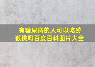 有糖尿病的人可以吃猕猴桃吗百度百科图片大全