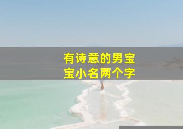 有诗意的男宝宝小名两个字