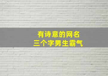 有诗意的网名三个字男生霸气