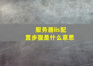 服务器iis配置步骤是什么意思