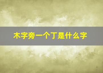 木字旁一个丁是什么字