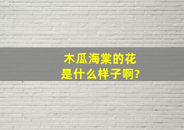 木瓜海棠的花是什么样子啊?