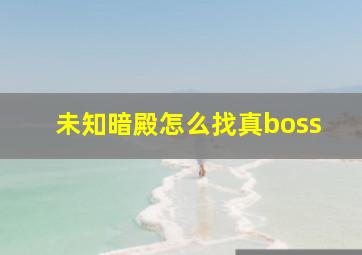 未知暗殿怎么找真boss