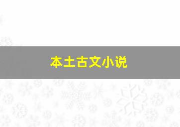 本土古文小说