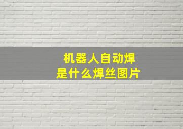 机器人自动焊是什么焊丝图片