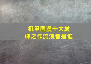 机甲国漫十大巅峰之作流浪者是谁