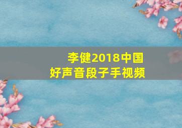 李健2018中国好声音段子手视频